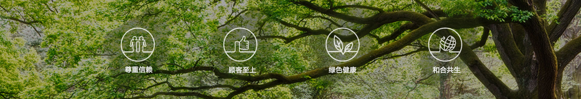 天涯辦公家具